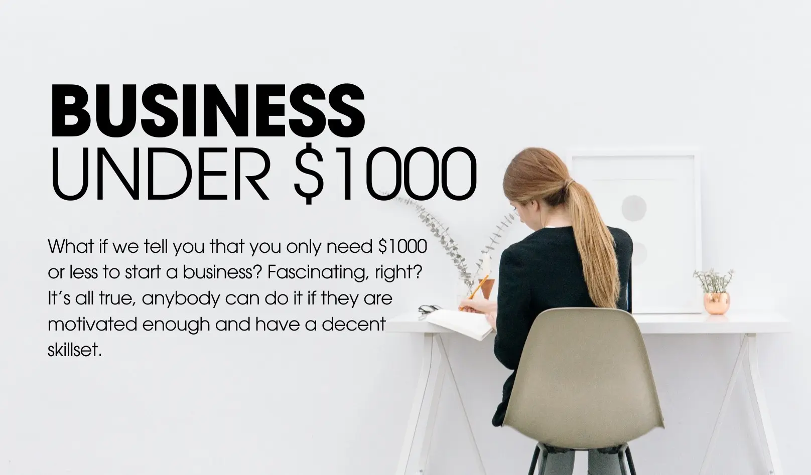Businesses under $1000